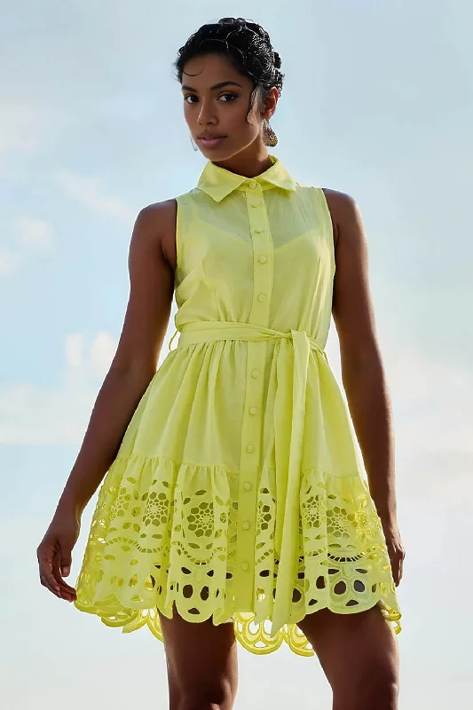 Fit-and-flare party dress-Lace Collared Dress in Yellow